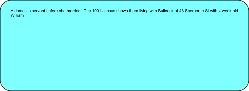 A domestic servant before she married.  The 1901 census shows them living with Bullneck at 43 Sherborne St with 4 week old William