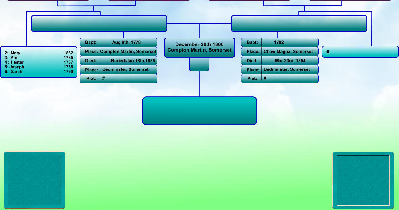 December 28th 1800 Compton Martin, Somerset Bapt: Place: Died: Place: Bapt: Place: Died: Place: 1782 Chew Magna, Somerset Mar 23rd, 1854 Bedminster, Somerset Aug 9th, 1778 Compton Martin, Somerset Buried:Jan 18th,1835 Bedminster, Somerset Plot: Plot: #  #   # 2:  Mary                                  	1882 3:  Ann                                 	1785 4 : Hester                          	1787 5: Joseph                                 	1788 6:  Sarah                                	1790