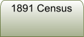 1891 Census